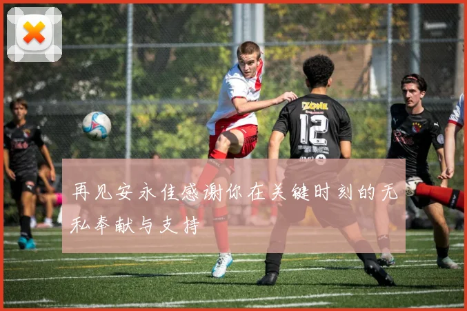 再见安永佳感谢你在关键时刻的无私奉献与支持