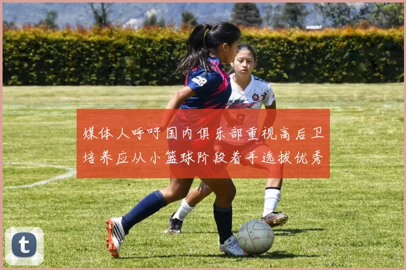 媒体人呼吁国内俱乐部重视高后卫培养应从小篮球阶段着手选拔优秀前锋